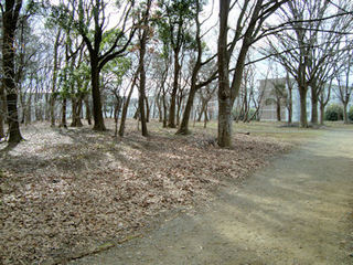 chiba-soto.3-murakamiryokuchi-9.jpg
